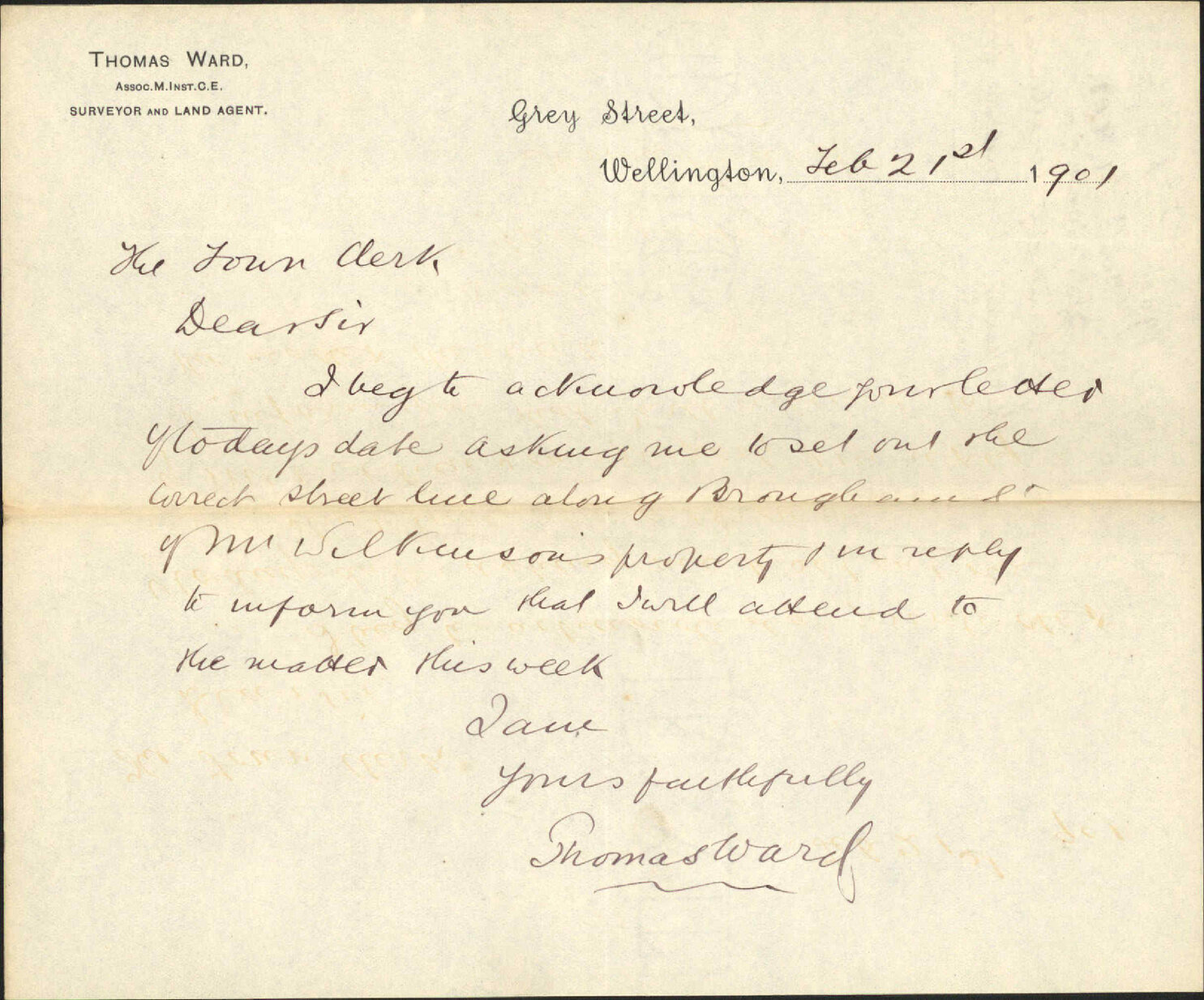 Line at Wilkinson's property, Brougham Street - Thomas Ward