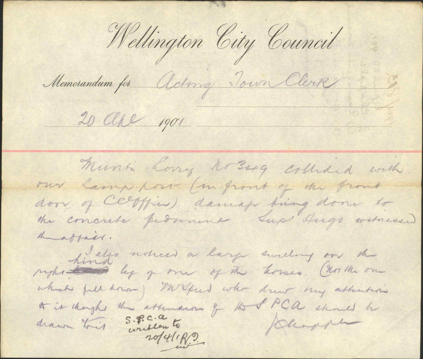 (1) Damage to verandah; (2) Horse with swelling on leg - J Chapple