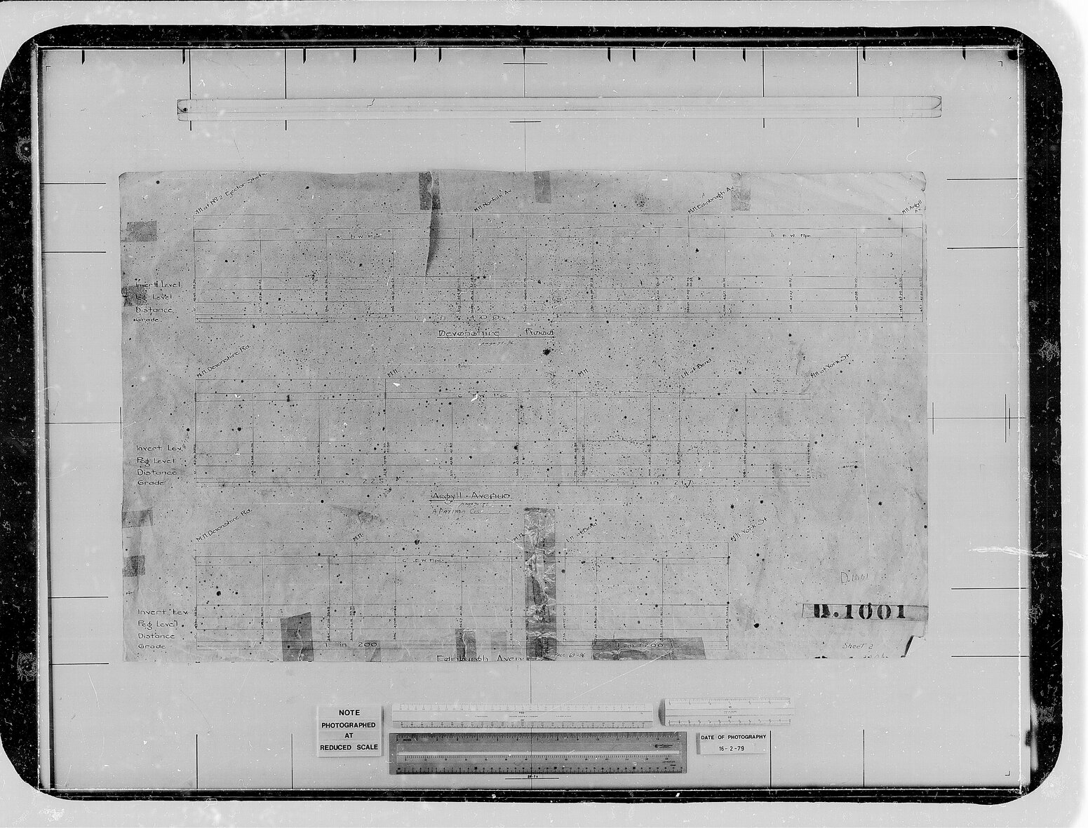 Miramar, Devonshire Road, Argentine Avenue, Aparimo Avenue