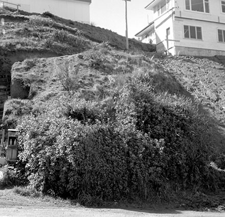 a. Dwelling, no. 157 Maupuia Road, Miramar