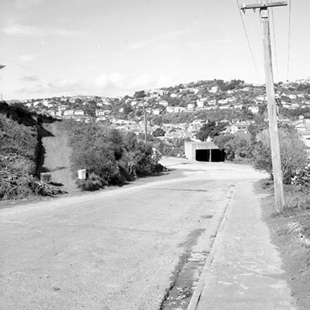 c. Dwelling, no. 157 Maupuia Road, Miramar