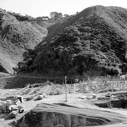 e. Ngauranga Gorge Abattoir