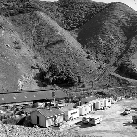 f. Ngauranga Gorge Abattoir