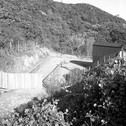a. Hapua Street, Hataitai. Dog dosing site