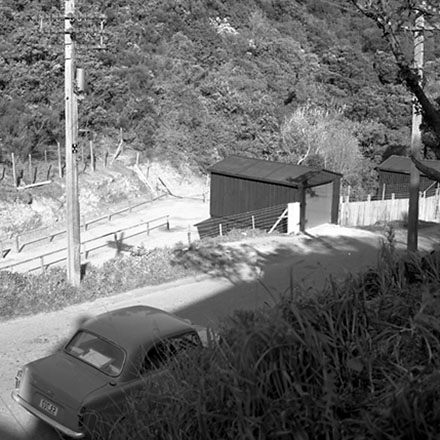 b. Hapua Street, Hataitai. Dog dosing site