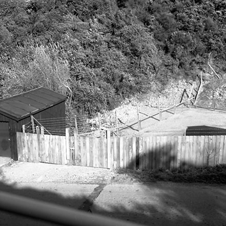 c. Hapua Street, Hataitai. Dog dosing site