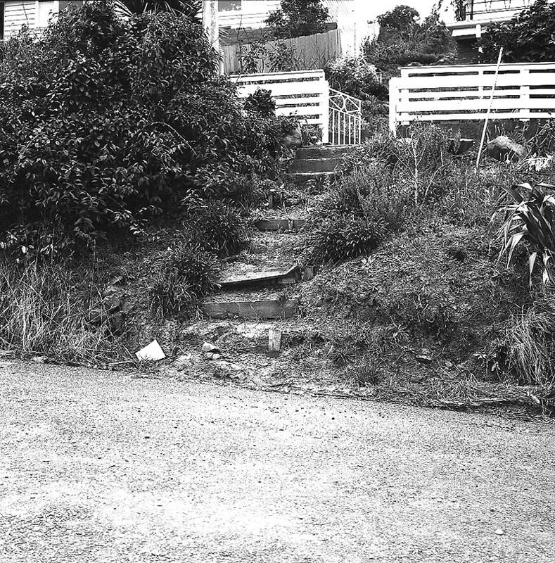 b. Seatoun Heights Road