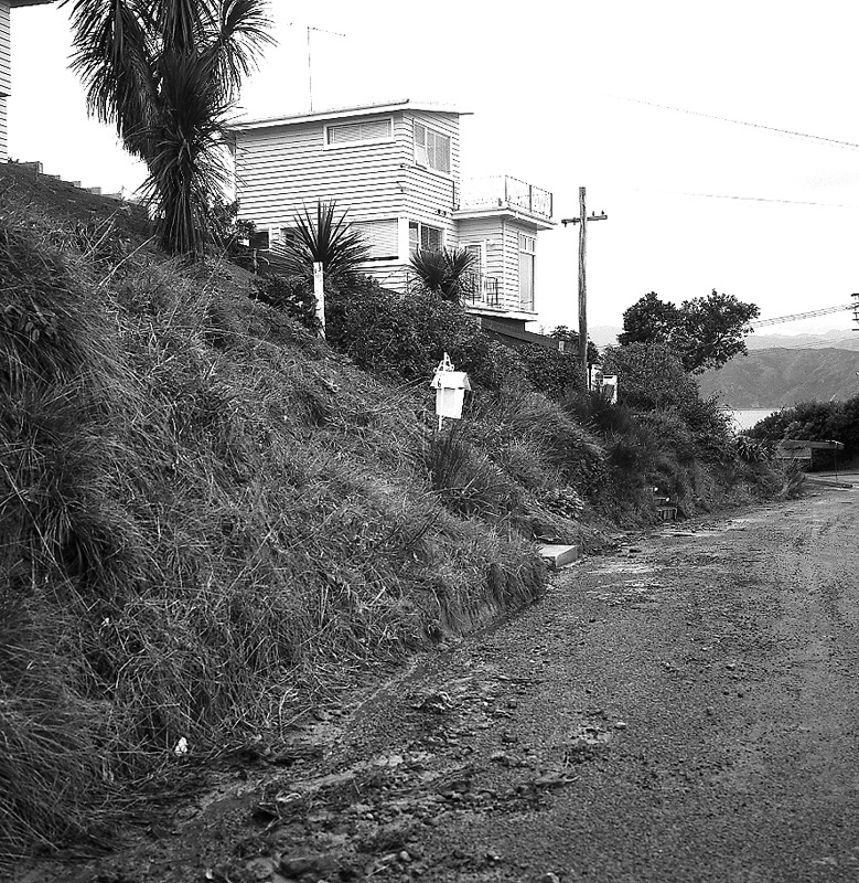 c. Seatoun Heights Road