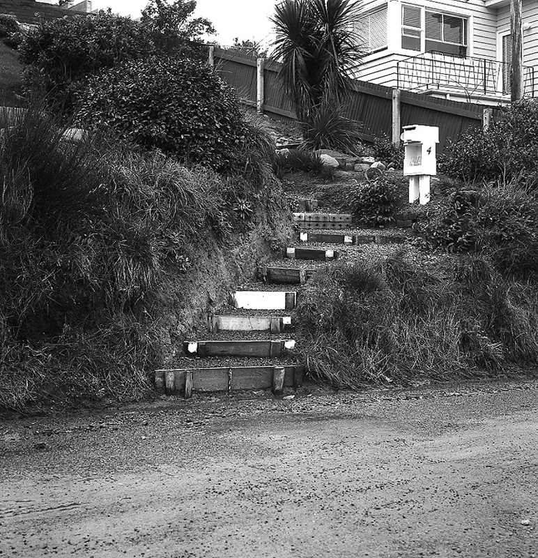 d. Seatoun Heights Road