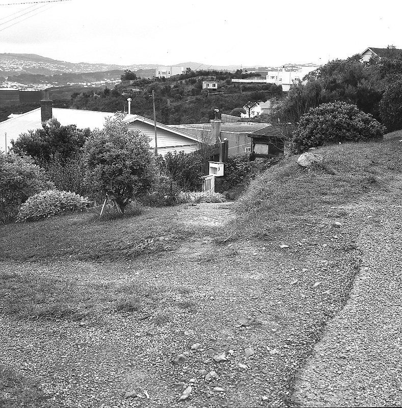 f. Seatoun Heights Road
