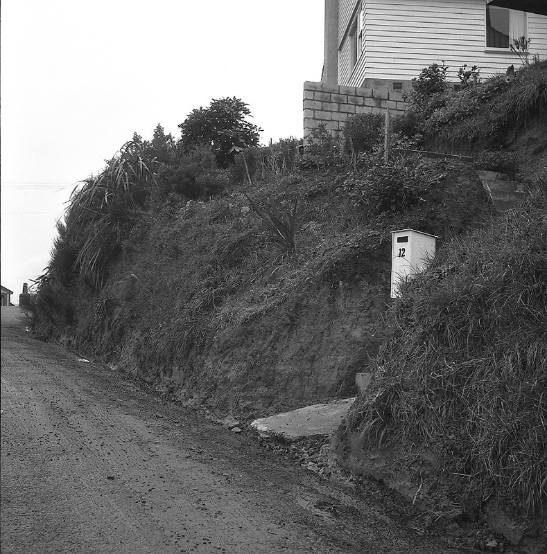 g. Seatoun Heights Road