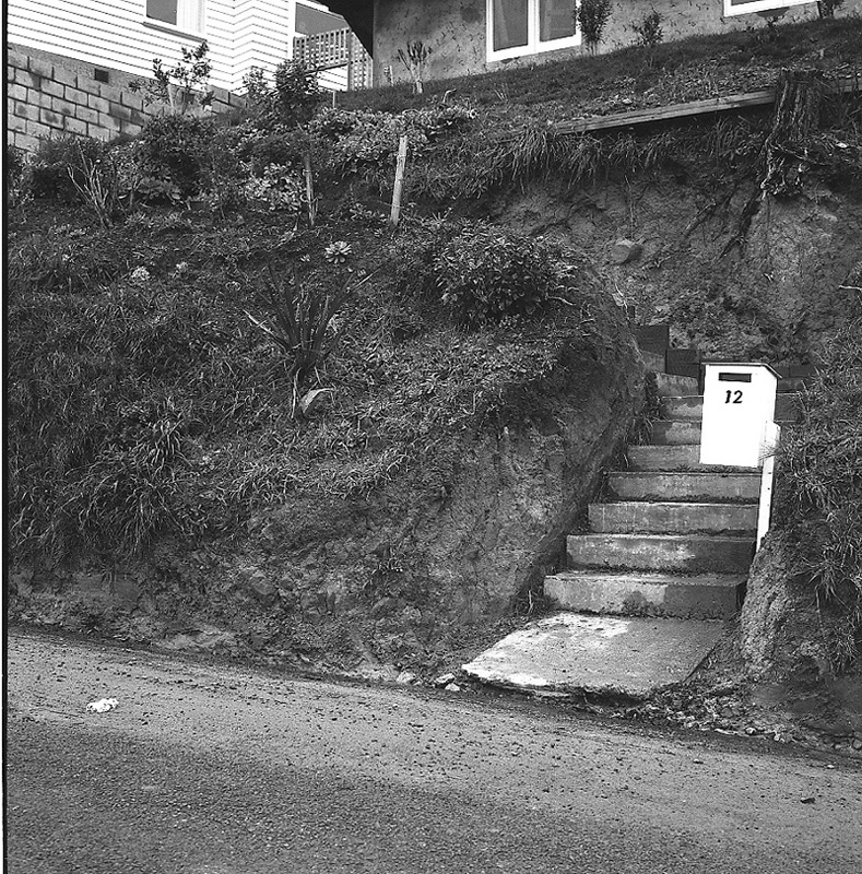 h. Seatoun Heights Road