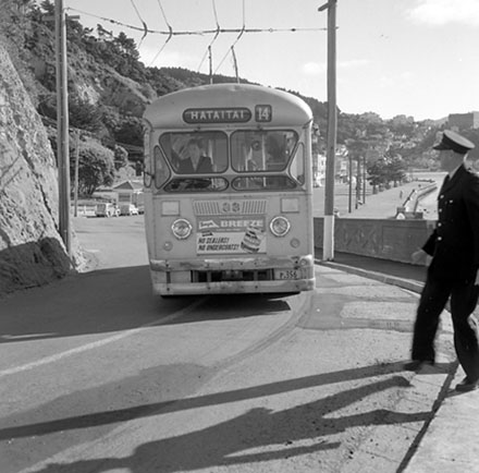 d. Traffic, Carlton-Gore Rd, Roseneath.