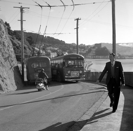 e. Traffic, Carlton-Gore Rd, Roseneath.