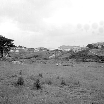 a. Panorama, Newlands Reserve