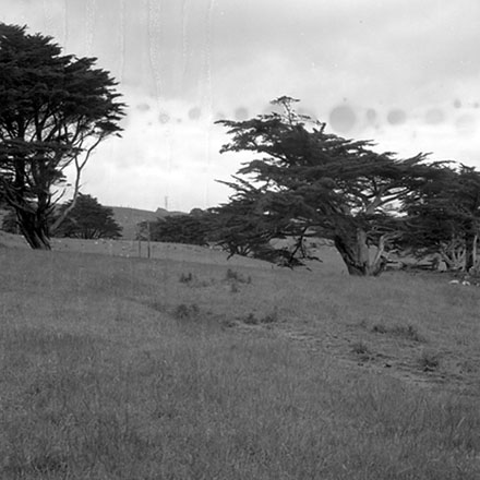 b. Panorama, Newlands Reserve