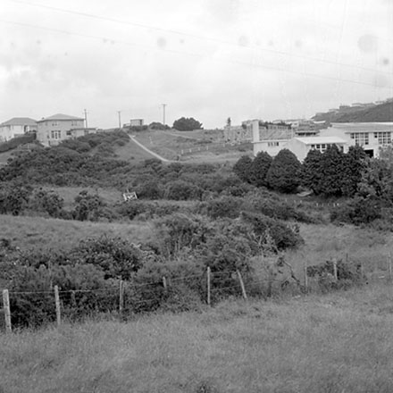 c. Panorama, Newlands Reserve