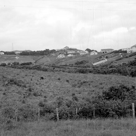 d. Panorama, Newlands Reserve