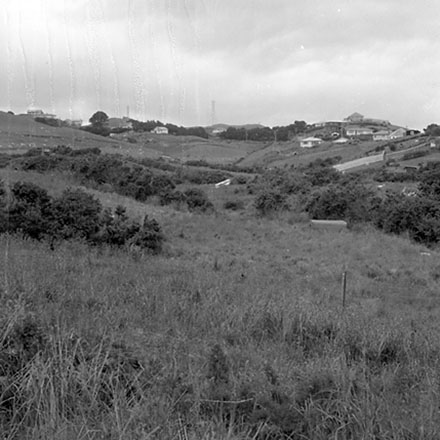 e. Panorama, Newlands Reserve