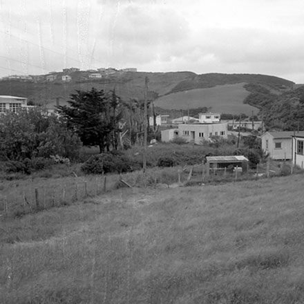 f. Panorama, Newlands Reserve