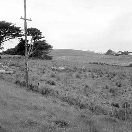 i. Panorama, Newlands Reserve