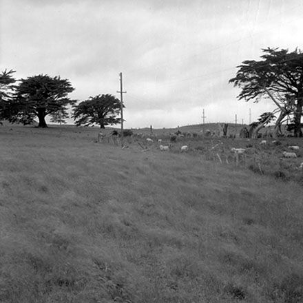 j. Panorama, Newlands Reserve