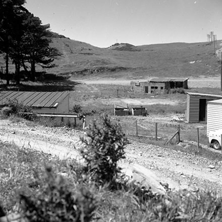 l. Panorama, Newlands Reserve