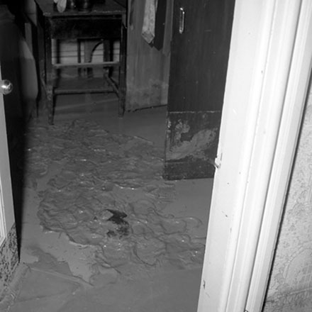 b. Storm damage, 29 Emerson St