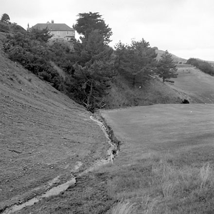 aa. Streetscape, Emerson Street