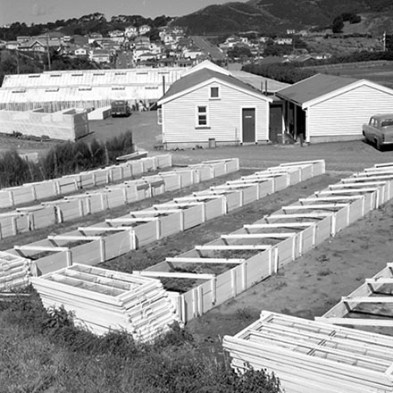 j. Council plant nursery