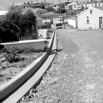 l. Council plant nursery