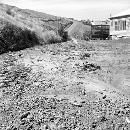 m. Council plant nursery