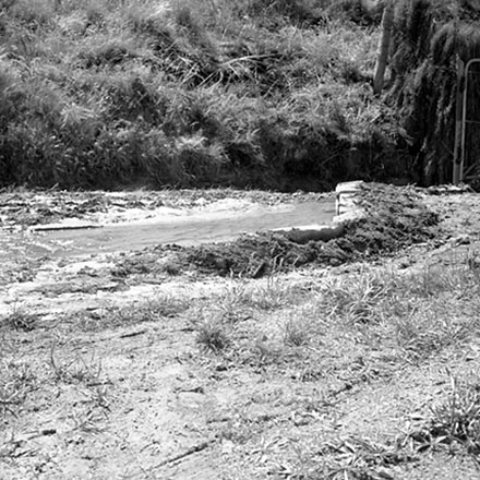 n. Council plant nursery