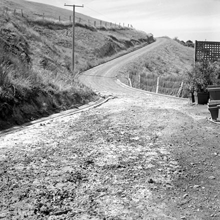 o. Council plant nursery