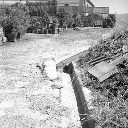 p. Council plant nursery