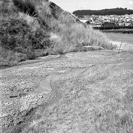 q. Council plant nursery