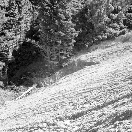a. Storm Damage, Emerson Street, Berhampore.