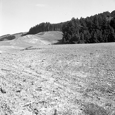 d. Storm Damage, Emerson Street, Berhampore.