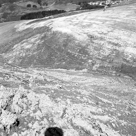 e. Storm Damage, Emerson Street, Berhampore.