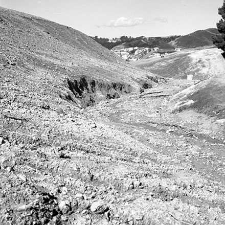 f. Storm Damage, Emerson Street, Berhampore.