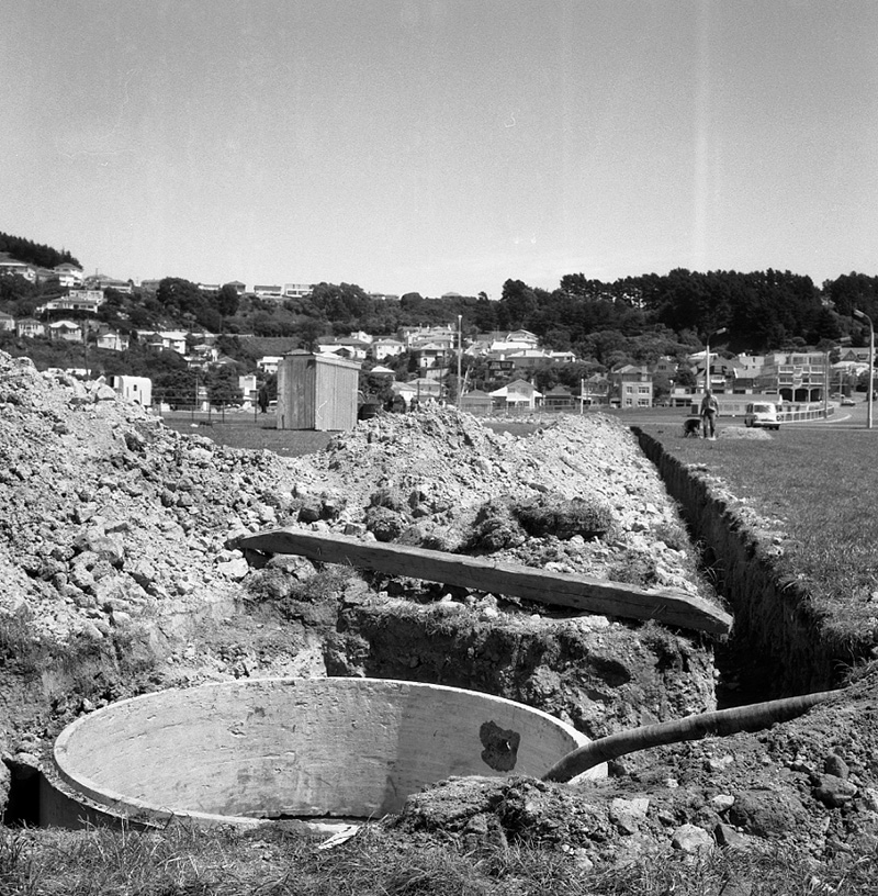 b. Evans Bay Reserve