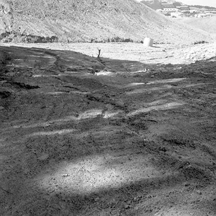 k. Storm Damage, Emerson Street, Berhampore.