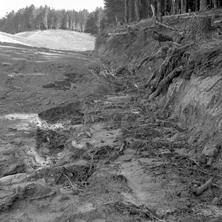l. Storm Damage, Emerson Street, Berhampore.