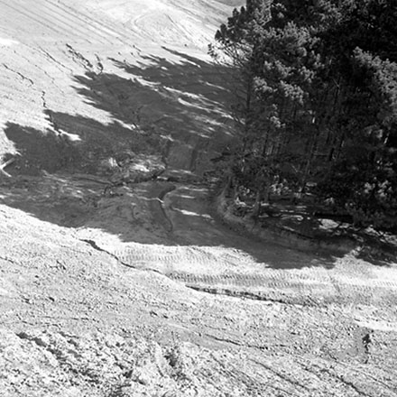 m. Storm Damage, Emerson Street, Berhampore.