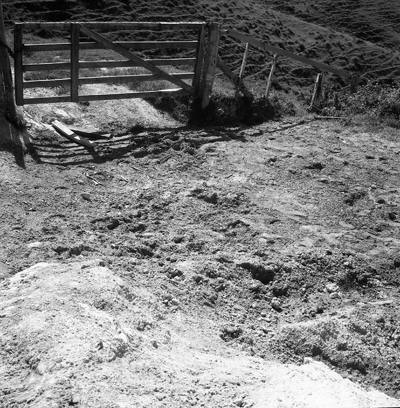 b. No 74 Rhine Street