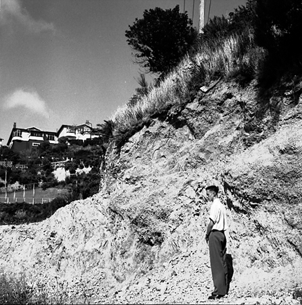 a. An area of undeveloped land being surveyed for housing development