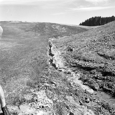 p. Storm Damage, Emerson Street, Berhampore.