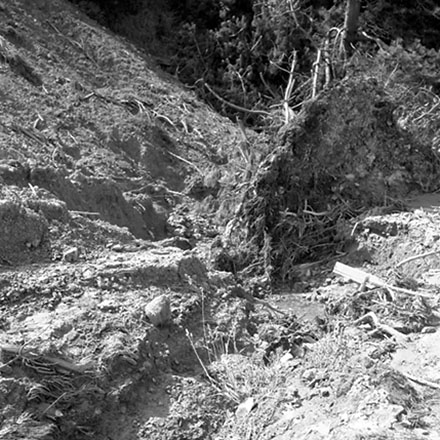 q. Storm Damage, Emerson Street, Berhampore.