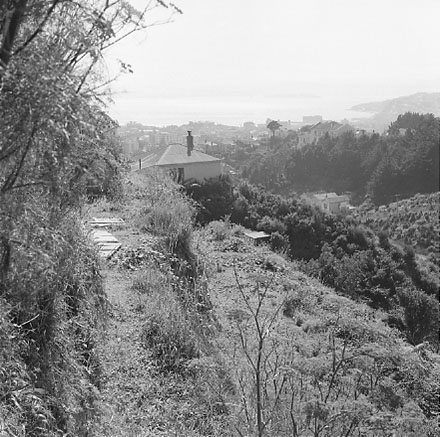 c. An area of undeveloped land being surveyed for housing development
