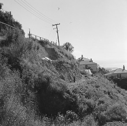 d. An area of undeveloped land being surveyed for housing development